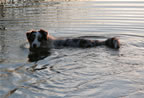 missy beim baden